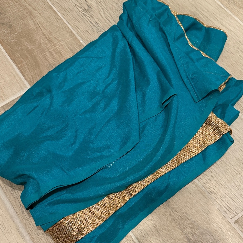 Teal Fabric with Gold Trim Saree